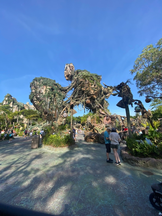 44C32337 FDFE 465A 8C84 DC4E8B20568F