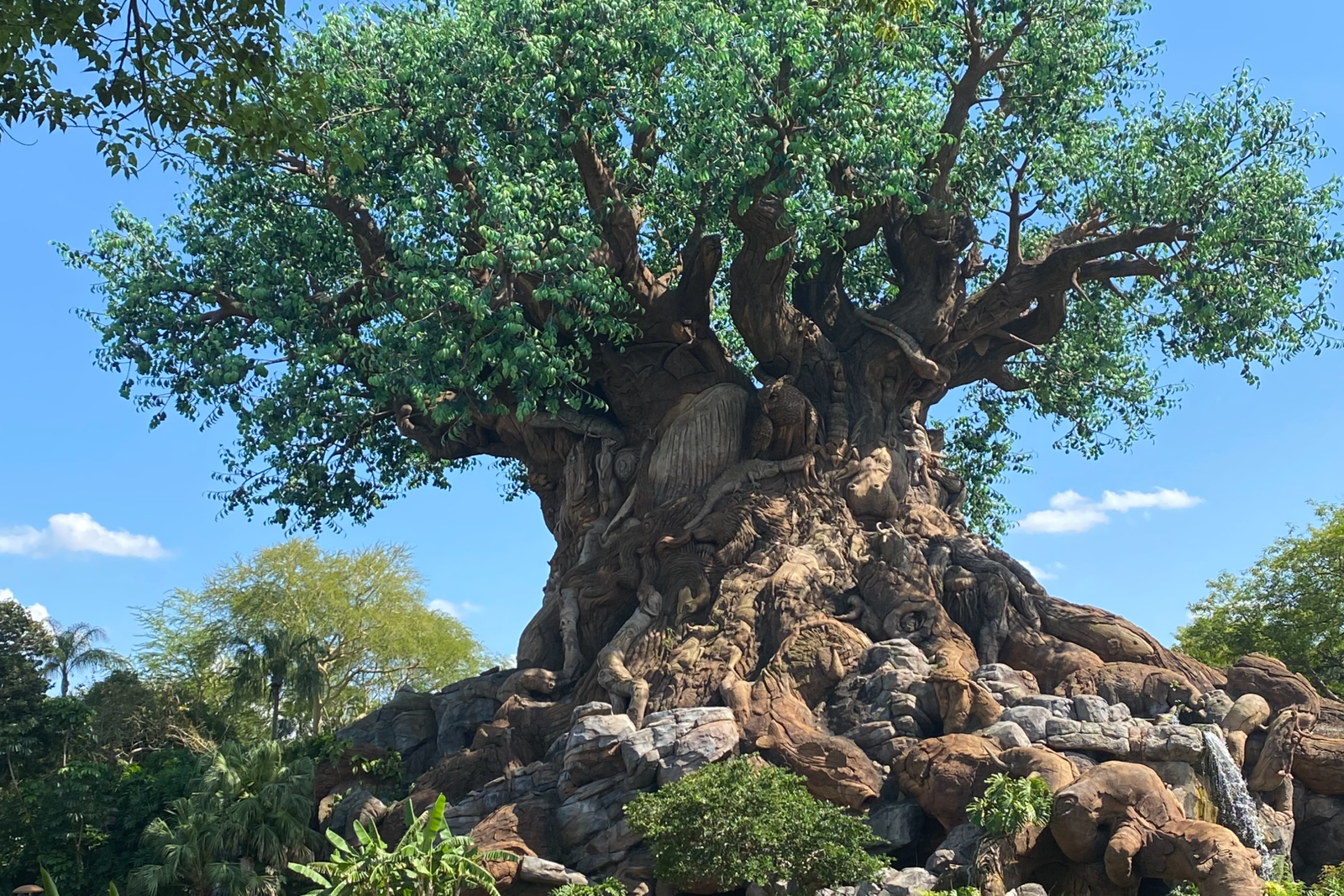 A72E38A6 FE18 4403 9691 CA30BA946A54 Fotor 20251227164117 Scaled