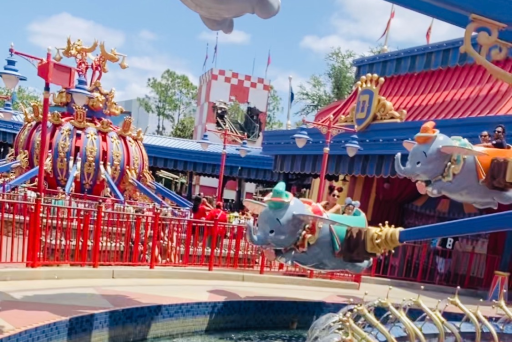 30fbf386 85a5 4746 80c7 e11c7683db9b fotor 20260219122627